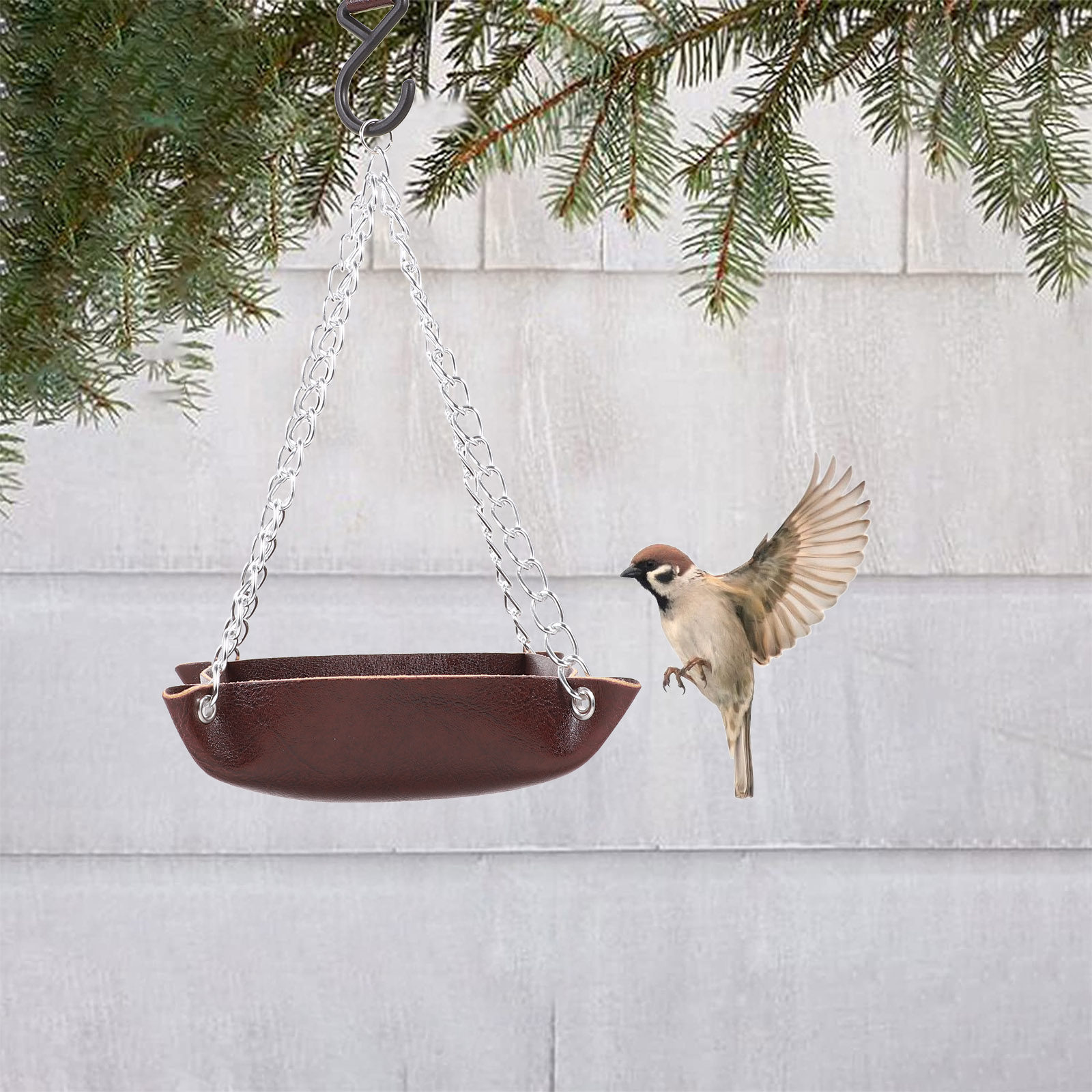 Comedero para pájaros, transpa - Feeding reseña y precio